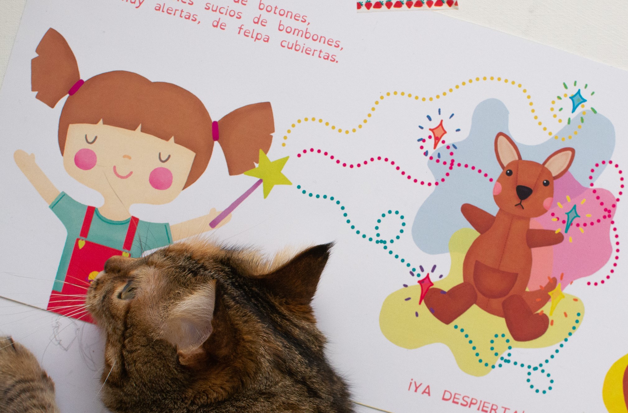 Foto de una gata mirando una ilustración de un cuento